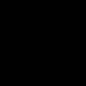 Meet your Posher, Kinsley